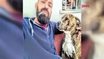 18 yaşında kaçarak evlendi, sonrası k&acirc;bus: Seni bu köpeklere yediririm