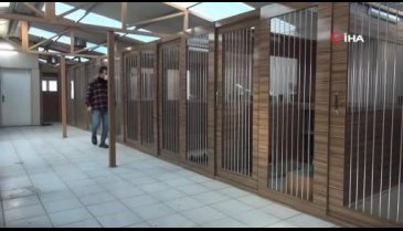Bursa'da lüks otomobil fiyatına güvercinlere beş yıldızlı otel