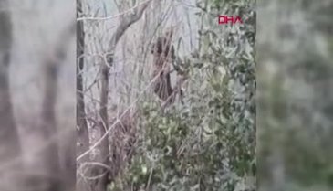 Balçığa saplanan kadını itfaiye kurtardı