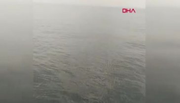Balıkçıların kamerasına 15 metrelik oluklu balina takıldı