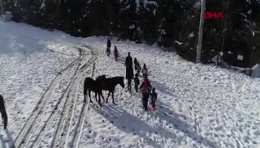 Bursa'da çocuğunu sınıf ortamından uzak tutmak istedi, 'orman okulu' kurdu