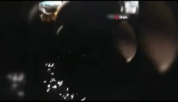 Balıkçıların ağına 'ay balığı' takıldı
