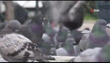 Bursa'da hayvan sevgisine yasak yok