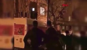 Sokak köpeğinin gözlerini oyup öldüresiye dövdüler