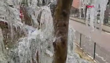 Bursa'da patlayan hortumdan fışkıran su, ağaçlarda sarkıt oluşturdu