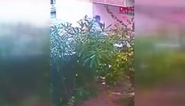 Şekip Mosturoğlu'nun halasını dolandıran şüpheliler kamerada