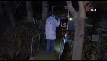 Korkunç an! Bahçede temizlik yaparken buldu