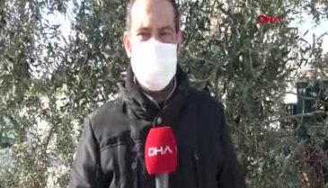 Zeytinde metal ve kostik tehlikesi