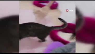 Eşi tarafından öldürülen diyetisyenin son hayali...
