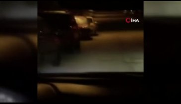 Bursa Mudanya'da aç kalan domuzlar sokağa indi