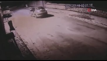 Köpeğin üstünden geçip, konteynere attılar!