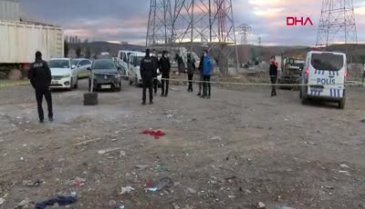 Ankara'da molozların arasında 20 ölü köpek bulundu