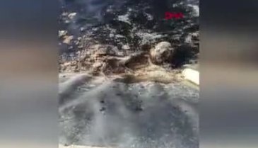 Bursa'da atık su havuzuna düşen 2 köpek vatandaşlar tarafından kurtarıldı
