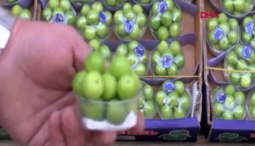 Çeyrek altından pahalı! Görenler yalnızca fotoğrafını çekebildi