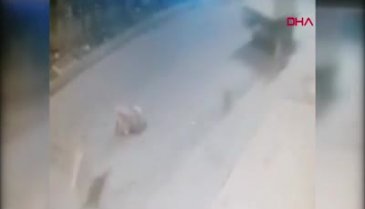 Kamyonetle köpeği ezip kaçtı