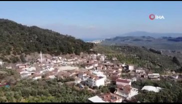 Bursa'da çocuğu olmayanlar kayanın etrafında dönüp çıkan böceği yutuyor