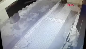 Bursa'da ilginç olay! Çaldıkları muzu geri getirdiler