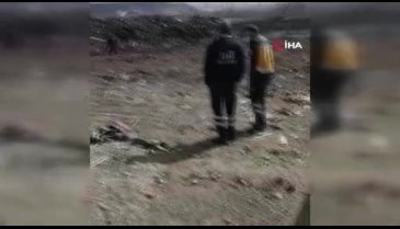 Yakılmış köpek ölüsü bulundu