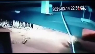 Bursa'da köpeği ezdi, arkasına bakmadan gitti