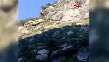 Bir anda karşılarına çıktı: Yeni mi uyandın aslan