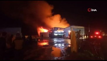 Bursa'da karton fabrikası küle döndü