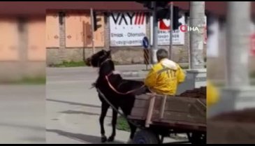 Yükü çekemeyen ata keserli işkence