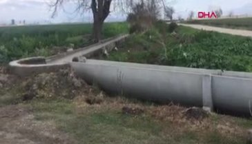 Hamile kadının yol kenarında cesedi bulundu