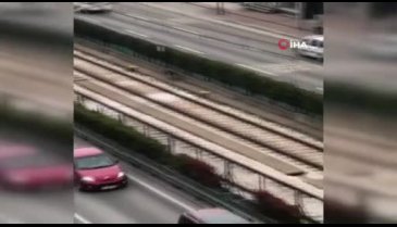 Bursa'da raylara giren köpek metro seferlerini aksattı