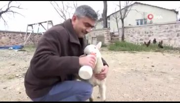 Bursa'da imamla kuzunun sevimli dostluğu