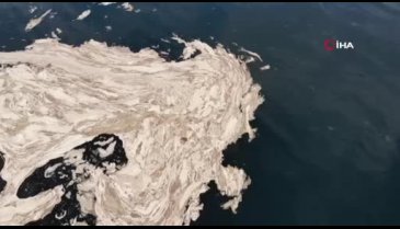 Bursa Gemlik Körfezi'nde korkutan görüntü