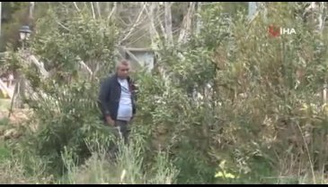İntihar teşebbüsünü canlı yayında izletti!
