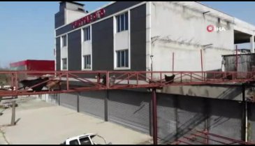Tavukları için üst geçit yaptı