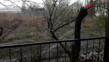 Ceviz ağacının altında otururken üzerine yıldırım düştü