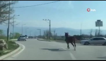 Bursa trafiğinde dört nala böyle koştu
