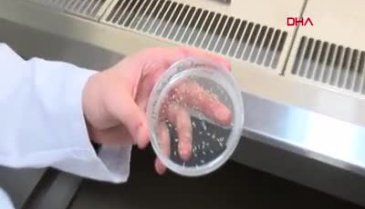 Türk bilim insanlarından dünyada ses getiren çalışma