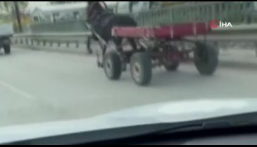Bursa'da sürücüsüz at arabası trafiği birbirine kattı