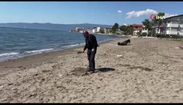Bursa'da dedektörle sahilde altın arıyor