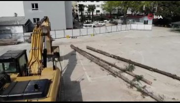 Bursa'da okul bahçesindeki ağaç katliamını mahalleli önledi