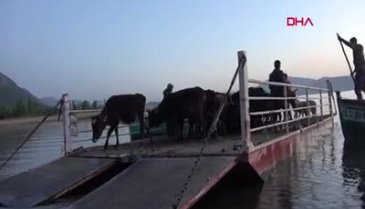 Mada Adası'nda yaşayanların yaylaya göçü başladı