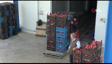 Bursa'da pazarlar kapanınca tonlarca meyve soğuk hava depolarında kaldı