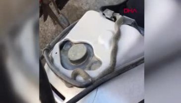 Bursa'da da tamir edilen motosikletten yılan çıktı!