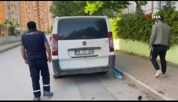 Bursa'da aracın motoruna giren yavru kedi mahalleliyi seferber etti