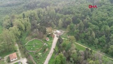Bursa'da barınaktaki son dansçı ayı 'Brütüs'