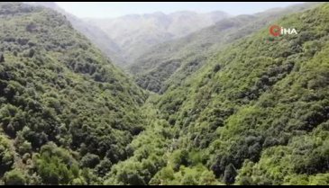 Bursa'da doğa yürüyüşçüsü her gün dostu sincabı elleriyle beslemek için dağa çıkıyor