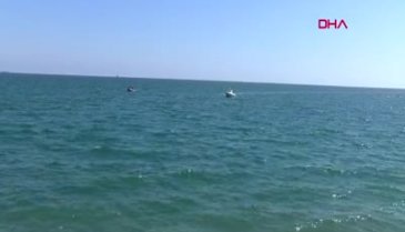 8 metrelik dev Mersin'de sahile vurdu!
