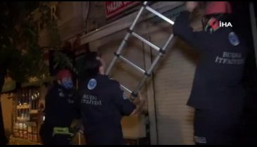 Bursa'da reklam panosuna sıkışan yavru kedileri kurtarmak için seferber oldular
