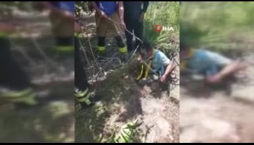Bursa'da kuyuya düşen çakalı ekipler kurtardı