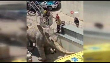 Kayıp adamın cesedi dinozor heykelinin içinden çıktı