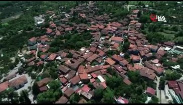 Bursa'da aşıdan korkan 76 yaşındaki kadını ekipler ikna etti
