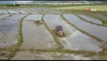 Bursa'da çeltik üretiminin çileli yolculuğu başladı
